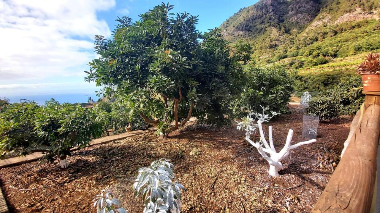 Casa Rural La Resbala - Casa Verde La Orotava Eksteriør bilde